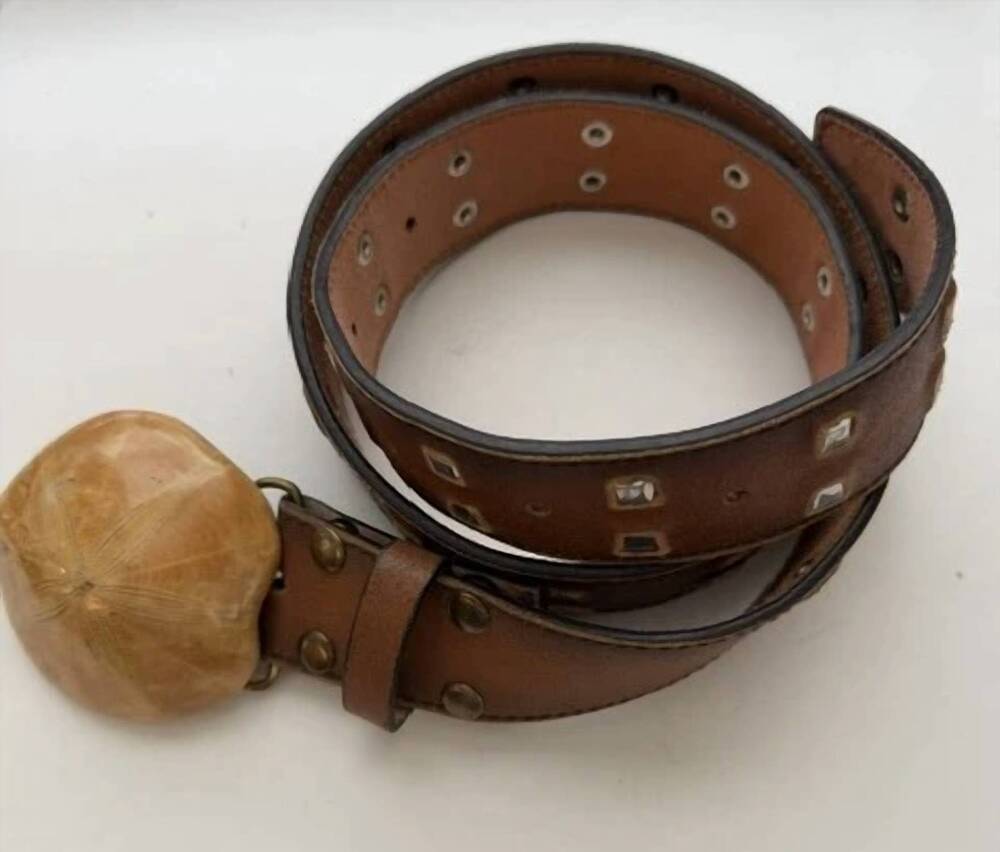 NEW REGINA ANDREW DESIGN women's sand dollar with studs belt in brown